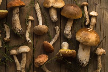 Mantar mantarı Boletus 'u tahta arka planda gezdiriyor. Sonbahar Boletus edulis mantarları ahşap kırsal masa üzerine kapanır. Lezzetli organik mantarlar pişirmek. Gurme yemekleri.