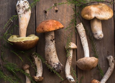 Mantar mantarı Boletus 'u tahta arka planda gezdiriyor. Sonbahar Boletus edulis mantarları ahşap kırsal masa üzerine kapanır. Lezzetli organik mantarlar pişirmek. Gurme yemekleri.