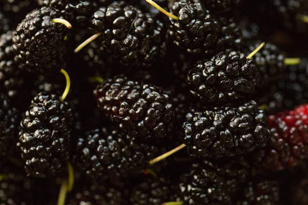 Zralé Čerstvé Ovoce Černého Moruše Zdravé Jídlo Šťavnatého Morušového Ovoce — Stock fotografie