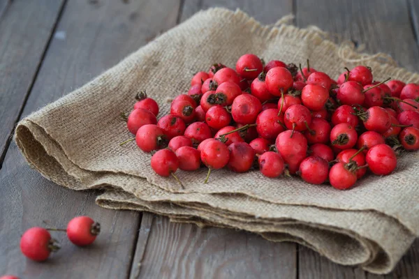 Crataegus Meyvesi Yaygın Olarak Hawthornapple May Tree Whitethorn Veya Hawberry — Stok fotoğraf