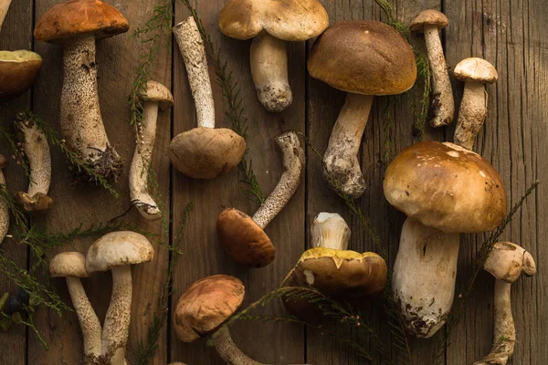 Ceps Houba Boletus Přes Dřevěné Pozadí Podzim Boletus Edulis Houby — Stock fotografie