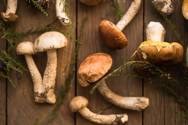 Ceps Houba Boletus Přes Dřevěné Pozadí Podzim Boletus Edulis Houby — Stock fotografie