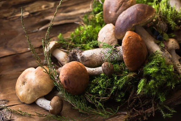 Ceps Houba Boletus Přes Dřevěné Pozadí Podzim Boletus Edulis Houby — Stock fotografie