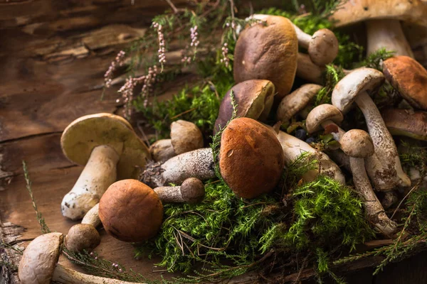 Mantar mantarı Boletus 'u tahta arka planda gezdiriyor. Sonbahar Boletus edulis mantarları ahşap kırsal masa üzerine kapanır. Lezzetli organik mantarlar pişirmek. Gurme yemekleri.