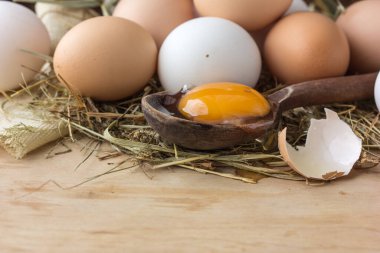 Kase içinde çiğ kahverengi yumurta. Kabuklu yumurtalar - sığ alan derinliğinde makro atış