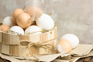 Kase içinde çiğ kahverengi yumurta. Kabuklu yumurtalar - sığ alan derinliğinde makro atış