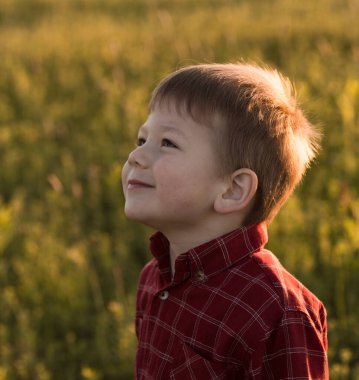 Gün batımında bir tarlada 5 yaşında tatlı bir çocuk. Küçük sarı saçlı bir çocuğun portresi. Yaz.