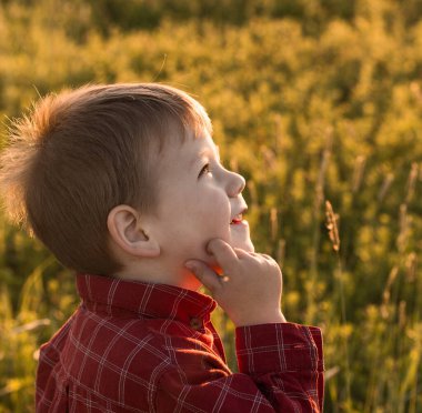 Gün batımında bir tarlada 5 yaşında tatlı bir çocuk. Küçük sarı saçlı bir çocuğun portresi. Yaz.