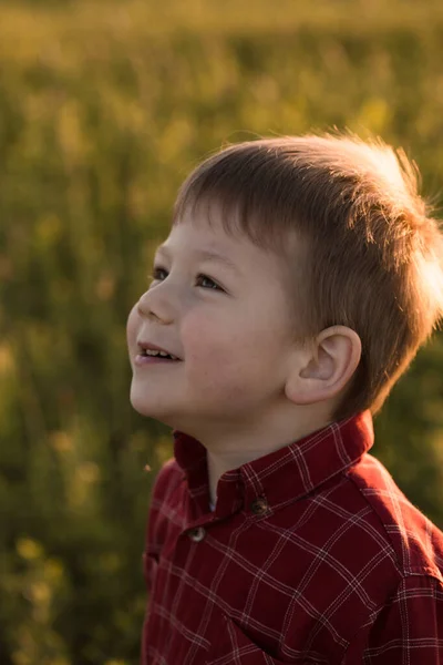 日没時に畑でかわいい男の子5歳 小さな公正な髪の少年の肖像画 — ストック写真