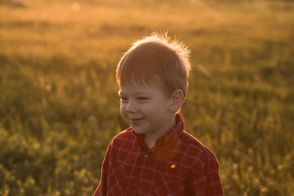 Cute Boy Years Old Field Sunset Portrait Little Fair Haired — Stock Photo, Image