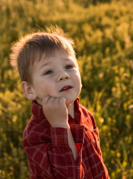 日没時に畑でかわいい男の子5歳 小さな公正な髪の少年の肖像画 — ストック写真