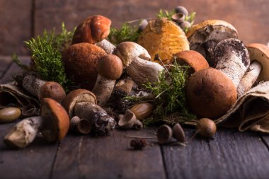 Mantar mantarı Boletus 'u tahta arka planda gezdiriyor. Sonbahar Boletus edulis mantarları ahşap kırsal masa üzerine kapanır. Lezzetli organik mantarlar pişirmek. Gurme yemekleri.