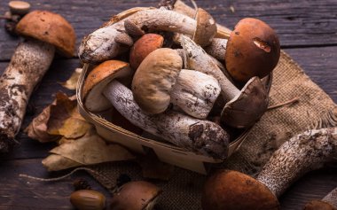 Mantar mantarı Boletus 'u tahta arka planda gezdiriyor. Sonbahar Boletus edulis mantarları ahşap kırsal masa üzerine kapanır. Lezzetli organik mantarlar pişirmek. Gurme yemekleri.