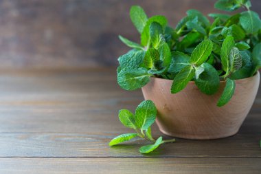 Kopya alanı ile taze nane yaprağı arkaplanı