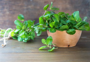 Kopya alanı ile taze nane yaprağı arkaplanı