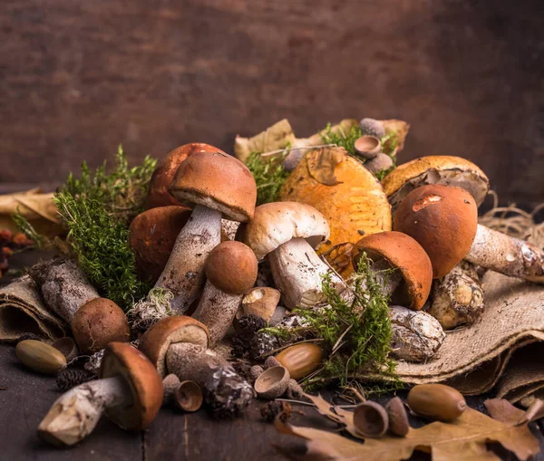 Ceps Mushroom Boletus Wooden Background Autumn Boletus Edulis Mushrooms Close — Stock Photo, Image