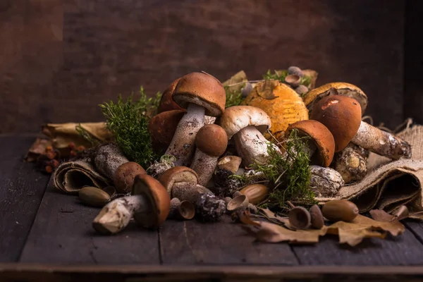 Ceps Mushroom Boletus Wooden Background 秋天的金银花蘑菇紧靠着木地板 烹调美味的有机蘑菇 食糖食品 — 图库照片