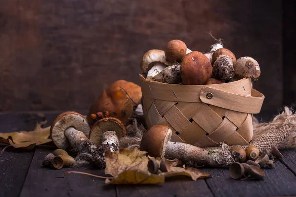 Ceps Houba Boletus Přes Dřevěné Pozadí Podzim Boletus Edulis Houby — Stock fotografie