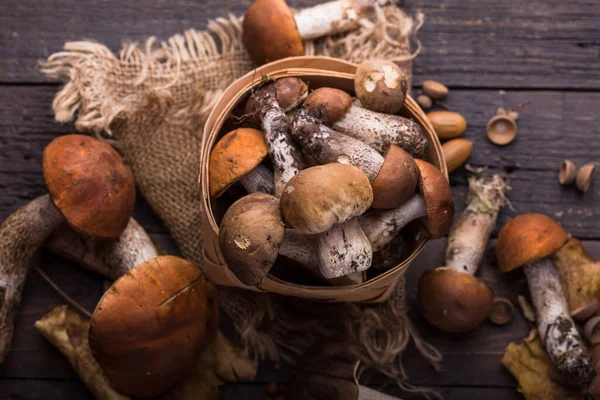 Ceps Mushroom Boletus Wooden Background 秋天的金银花蘑菇紧靠着木地板 烹调美味的有机蘑菇 食糖食品 — 图库照片