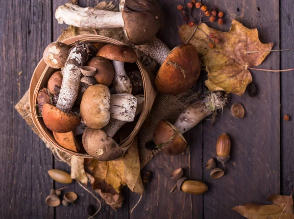 Ceps Mushroom Boletus Wooden Background Autumn Boletus Edulis Mushrooms Close — Stock Photo, Image