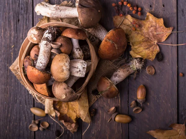 Ceps Houba Boletus Přes Dřevěné Pozadí Podzim Boletus Edulis Houby — Stock fotografie