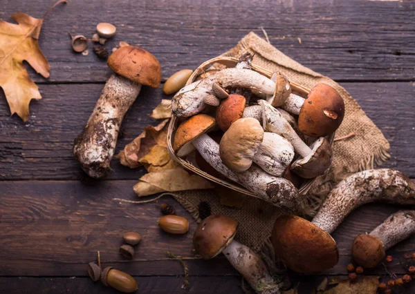 Fungo Ceps Boletus Sfondo Legno Autunno Boletus Edulis Funghi Vicino — Foto Stock