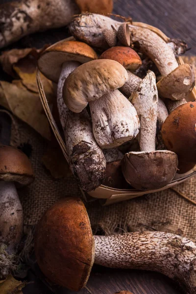 Ceps Houba Boletus Přes Dřevěné Pozadí Podzim Boletus Edulis Houby — Stock fotografie