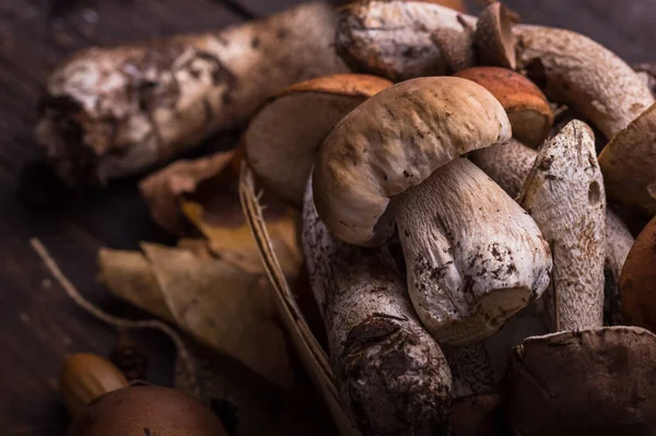 Ceps Houba Boletus Přes Dřevěné Pozadí Podzim Boletus Edulis Houby — Stock fotografie