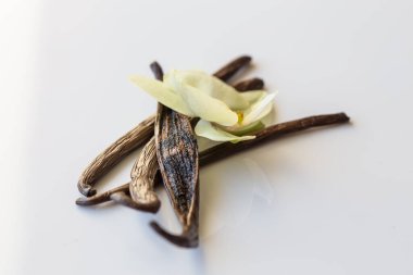 Beyaz arka planda kurutulmuş vanilya kabukları ve orkide vanilya çiçekleri.