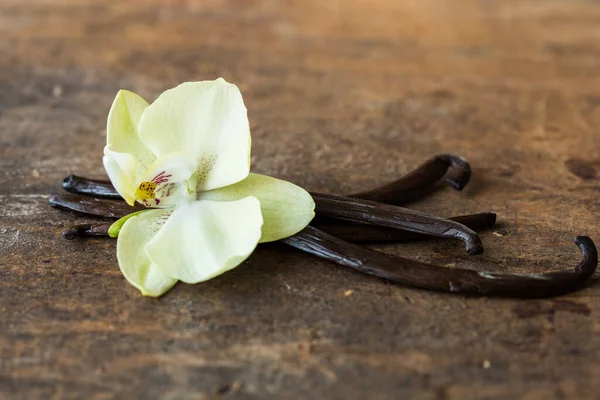 Dried vanilla pods and orchid vanilla flowers on wooden background