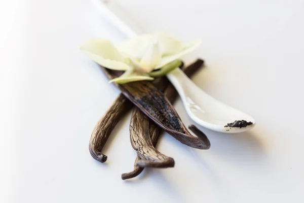 Getrocknete Vanilleschoten Und Orchideen Vanilleblüten Auf Weißem Hintergrund — Stockfoto