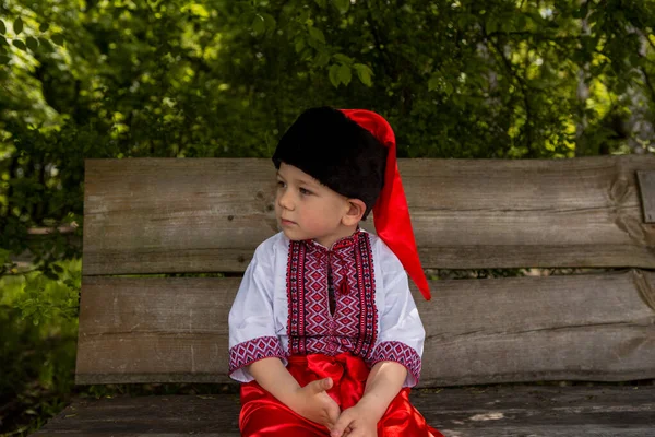 ウクライナの刺繍シャツのかわいいコサックの男の子 ウクライナ中の民族衣装の子供 キエフ近郊の屋外の博物館Pirogovo — ストック写真