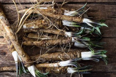 Armoracia Rusticana. Tahta üzerinde taze organik yaban turpu kökü. en üstteki görünüm