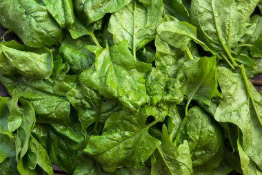 fresh green spinach leaves, close-up