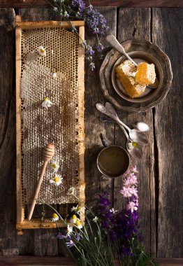 Balmumu ve sıvı doğal sarı bal içeren bal peteği parçası. Kırsal kesim. Arı ürünleri organik doğal bileşenler kavramına göre