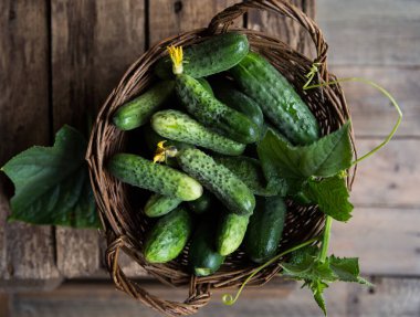 Taze salatalıklı sepet. Yaz hasadı. Bir kase sebze. en üstteki görünüm