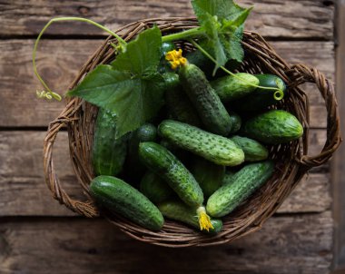 Taze salatalıklı sepet. Yaz hasadı. Bir kase sebze. en üstteki görünüm