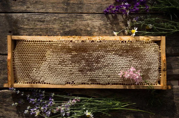 Verzegelde Honingraat Met Honing Natuurlijke Achtergrond Nectar Bijenteelt — Stockfoto