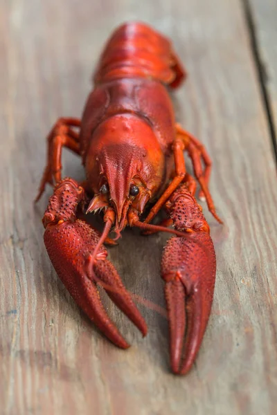 Écrevisses Rouges Bouillies Sur Table Dans Style Rustique Gros Plan — Photo