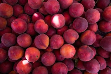 Beyaz arkaplanda taze kırmızı erikler