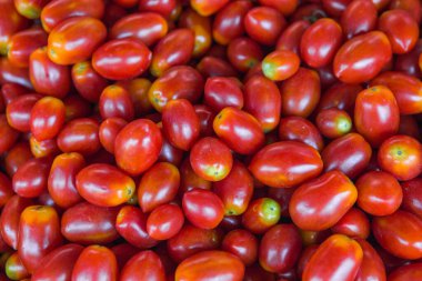 Bir sürü taze domates satışa hazır.. 