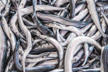 Yunanistan pazarında balık satışının en üst görünümü