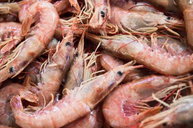 Yunanistan 'ın başkenti Atina' daki merkez pazarında karides veya karides arkaplanı