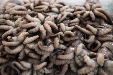 Yunanistan 'ın yerel Atina balık pazarında buzdaki çiğ ve taze mürekkep balıklarının arkaplanı