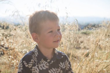 Güneşli yaz gününde tarlada küçük bir çocuğun portresi