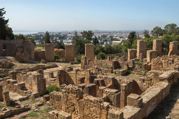 Ruines Ruines Antiques Carthage Tunis — Photo