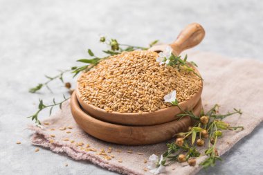 Hafif keten tohumları, keten tohumu ve gri arka planda keten çiçekleri. Boşluğu kopyala