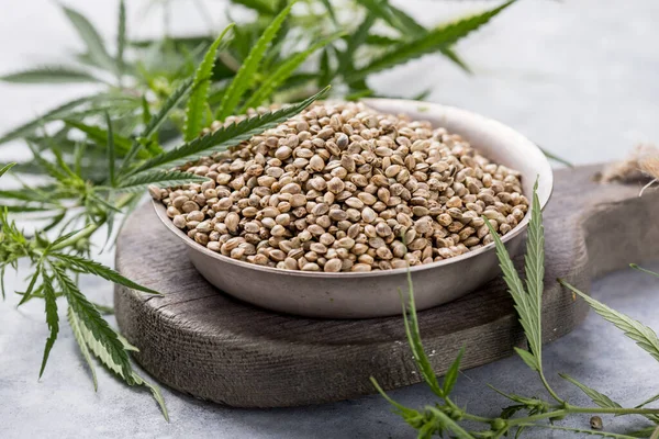 Hemp seeds, cannabis plant cbd.