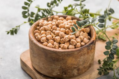 Pişmemiş kurutulmamış nohut ve çiğ yeşil nohut kabuğu kırsal masada. Bir yığın baklagil nohut arkaplanı