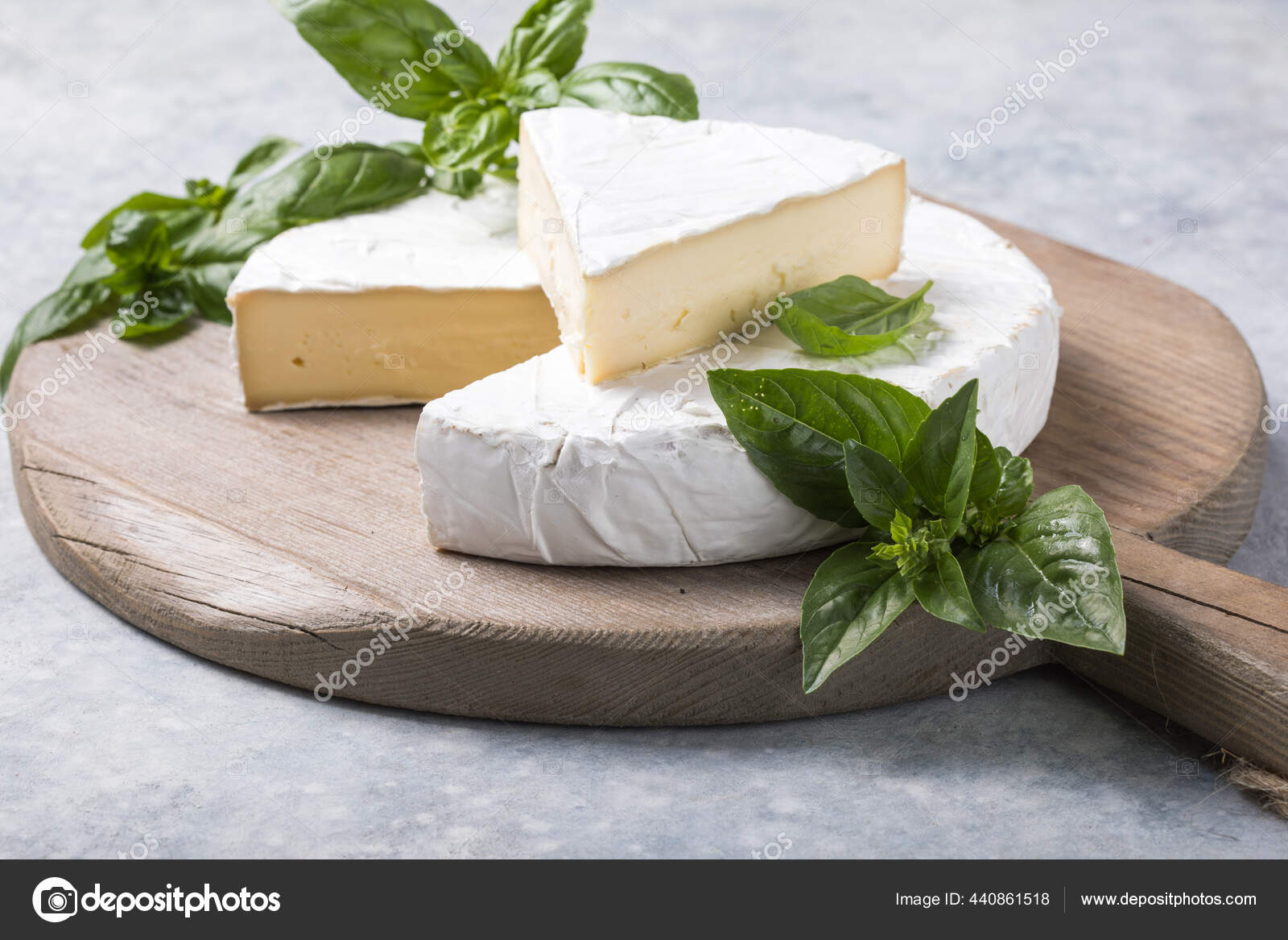 Brie Cheese Camembert Cheese Herbs Stock Photo by ©sokor 440861518